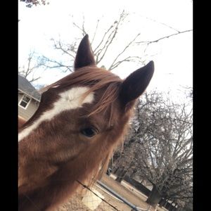 Meet your Posher, Dianna